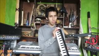 Video thumbnail for Love will lead you back on melodica -  Hohner piano 27 by Melodica Gallery
