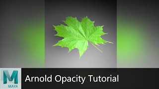 Maya Arnold Transparent Texture Background Tutorial