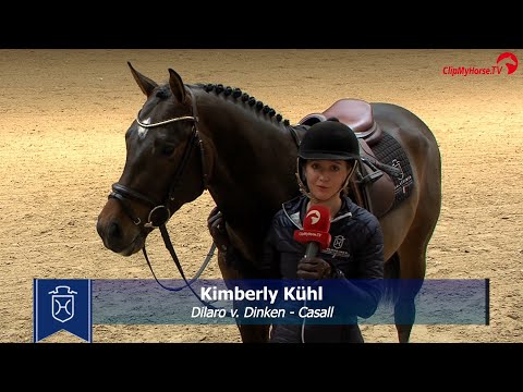 Junghengste im Portrait - Dilaro v. Dinken-Casall