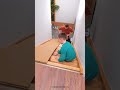 DIY CARDBOARD SLIDE SAFE FUN PLAYTIME Funny Parenthack Diyideas