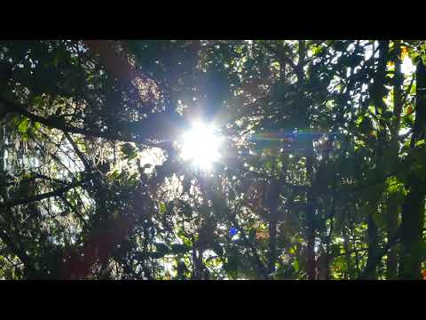 What is the concept of "I"?