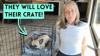Dog Crate Refusal Fixed: How I Retrained My Frenchie to Love Her Crate