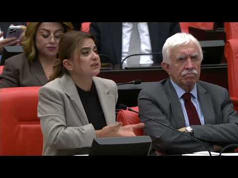 Gülistan Kılıç Koçyiğit, Bütçe silaha değil ekmeğe, barışa ve adalete ayrılmalı.