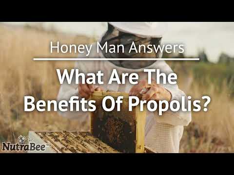 What Are The Benefits Of Propolis? (Honey Man Explains)