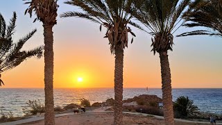 Queens Bay Hotel, Paphos, Cyprus, September 2025