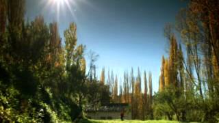 MOTOSIERRA   EN PAREJA