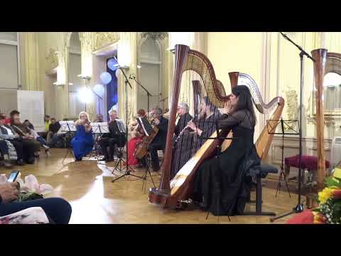 Introduction and Allegro