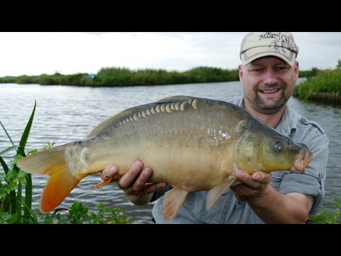 Matze Koch: Carp Short-Term Fishing - Matze's Antics 08-2016