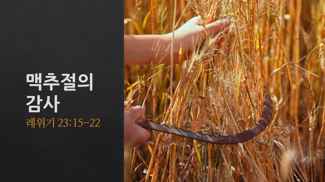 설교기본이미지