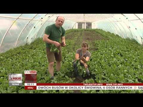 Nowalijki w cenie (Raport z Polski, TVP Info 30.04.2013)