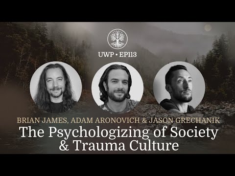 Universe Within Podcast Ep113 - The Psychologizing of Society & Trauma Culture - A Discussion