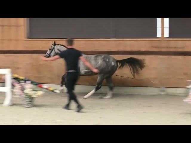 Jumping