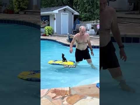 ❤️Cet homme adore son chaton...