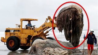 Download lagu 10 Mysterious Giant Creatures Caught On Camera (November 2020) mp3 Download lagu 10 Mysterious Giant Creatures Caught On Camera (November 2020) mp3