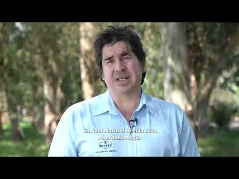 Azul Natural Beef: Introduccion Entrevista a cabaña Tres Marías