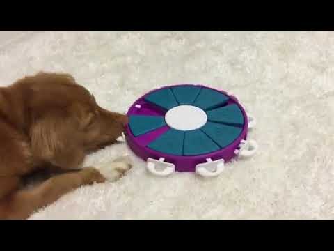 Nina Ottosson Dog Twister Voerspeelgoed Level 3