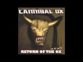 Cannibal Ox - "AK-47" [Official Audio] 