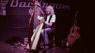 Wheel of fortune - Robin Williamson