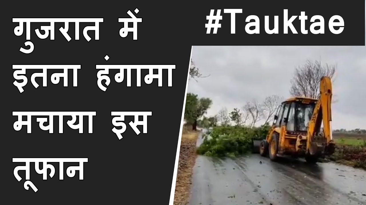 Tauktae cyclone effect in Gujarat: 16 COVID hospital affected | 40000 trees fallen | 196 roads block