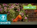 Sesame Street Slimey S Joke ShareTheLaughter Challenge