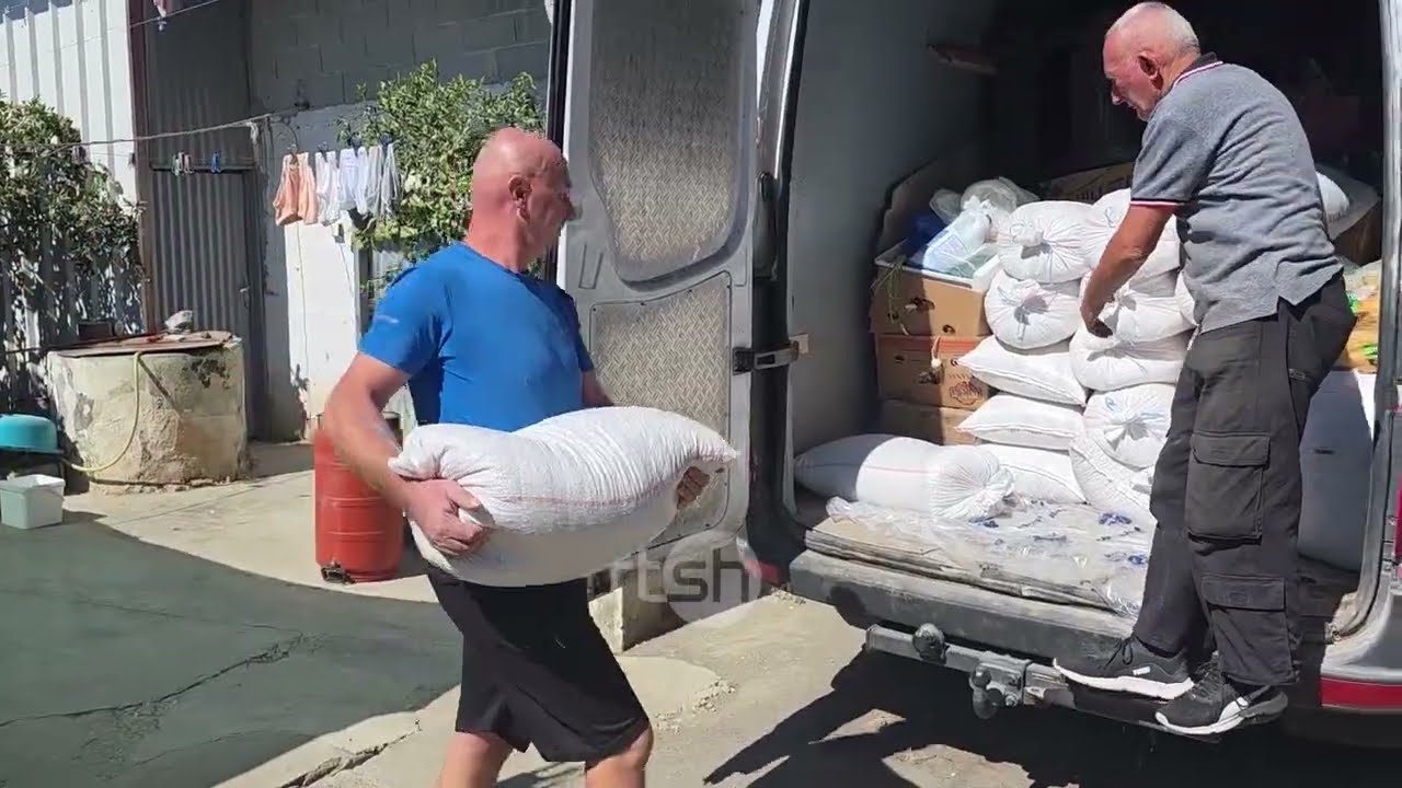 Prodhimi i fasules në Myzeqe, fermerët përballen me prodhim të dobët dhe çmim të ulët