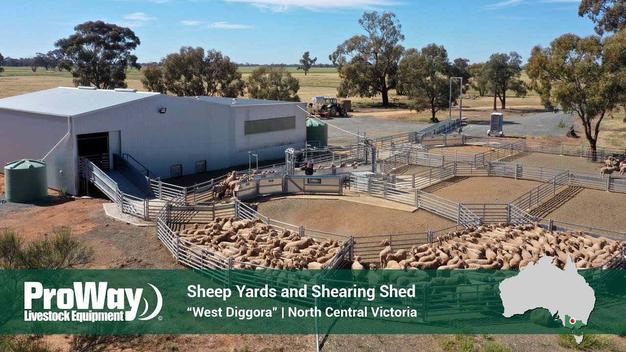 ProWay Sheep Yards and Shearing Shed | "West Diggora"  | North Central Victoria, Australia