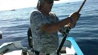preview picture of video 'Fishing La Paz, BCS - October 2010'