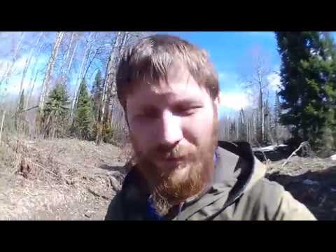 Смотреть видео Смотреть видео