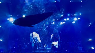 Julien Doré - Nous (Live at Arkéa Arena, Bordeaux 23/05/2025)