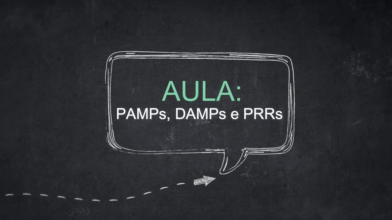 Imunidade inata: PAMPs, DAMPs e PRRs