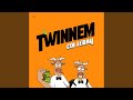 TWINNEM