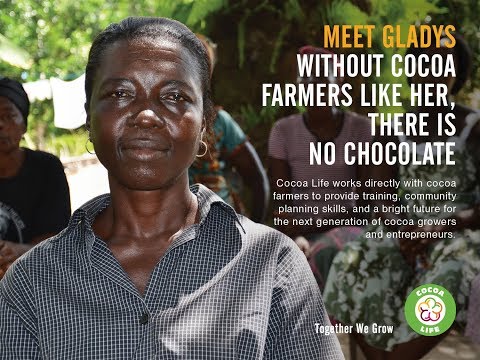 Cocoa Life Program Introduction