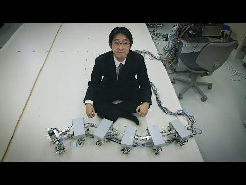 Elucidating the principles of animal walking dynamics and utilizing such knowledge for robots