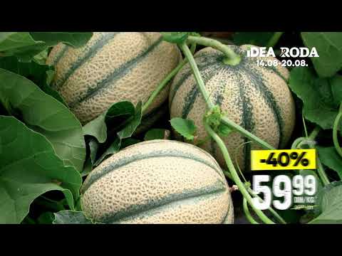 IDEA | Sveža ponuda 14 - 20.08.2020.
