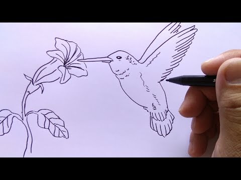 download lagu mp3 mp4 Tutorial Menggambar Flora Dan Fauna, download lagu Tutorial Menggambar Flora Dan Fauna gratis, unduh video klip Tutorial Menggambar Flora Dan Fauna