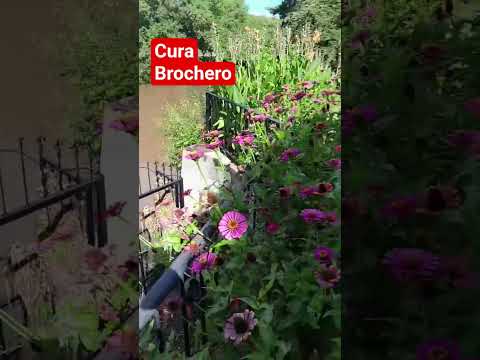 Conociendo #argentina  #cordoba #automobile #motovlog #smartphone #travel