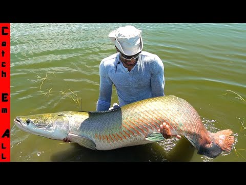 We CAUGHT this GIANT FISH in a FLORIDA POND!