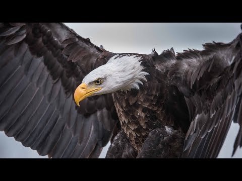 Epic Hip Hop Instrumental | Hard Choir Rap/Trap Beat 2019 (prod. by Markezi Producer)