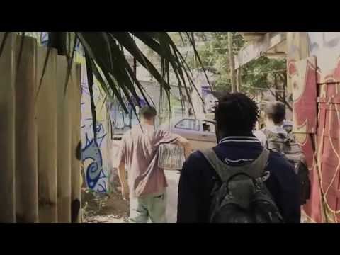 Conheça a arte e os insetos coloridos do Feik