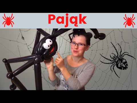 Warsztaty balonowe #32 Pająk