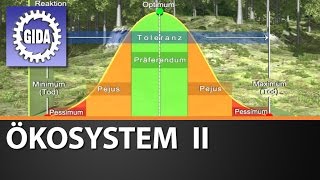 Trailer - Ökosystem II - Biologie - Schulfilm