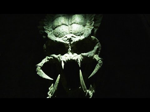 THE PREDATOR IS BACK - TIME TO HUNT