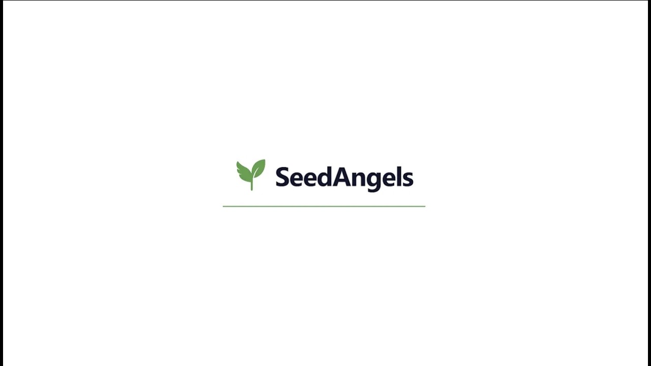 SeedAngels - Your Project deserves the best Business Plan