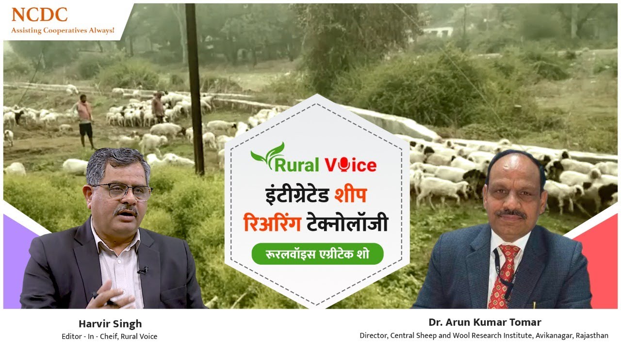 रूरल वॉयस विशेष: शुष्क क्षेत्रों में इंटीग्रेटेड शीप फार्मिंग किसानों की आय बढ़ाने का बेहतर जरिया