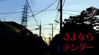 さよならテンダー/koyori(電ポルP) 『歌ってみた』