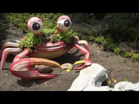 臺中世界花卉博覽會 | 台中熱到爆 | 2019/4/4