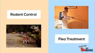 Be Safe Pest Control (331) 431-6614