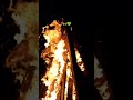 Fire Common Man Nature Ooty Tourism Firewood Youtube Youtubeshorts Commonman