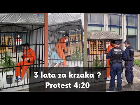 Zamknął się w klatce z konopią pod Sądem Rejonowym w Warszawie