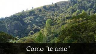 Baby, Can I Hold (Abrázame)